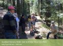 Guided Nature Walk: Get to Know Your Conifers