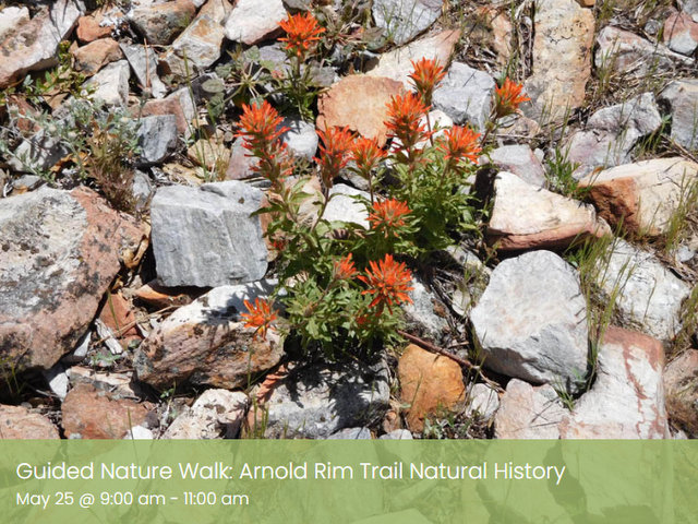 Guided Nature Walk: Arnold Rim Trail Natural History May 25 @ 9:00 am – 11:00 am