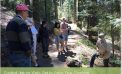 Guided Nature Walk on Arnold Rim Trail: Get to Know Your Conifers May 31 @ 9:00 am – 11:00 am