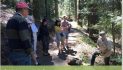 Guided Nature Walk on Arnold Rim Trail: Get to Know Your Conifers May 31 @ 9:00 am – 11:00 am