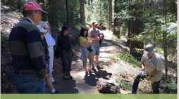 Guided Nature Walk on Arnold Rim Trail: Get to Know Your Conifers May 31 @ 9:00 am – 11:00 am