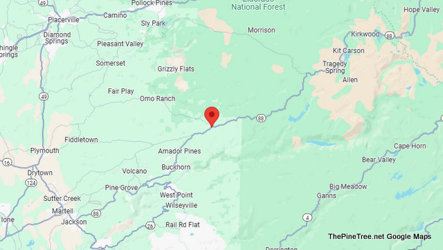 Traffic Update….Vehicle vs Tree Collision & Parts in Multiple Spots Near Sr88 / Omo Ranch Rd