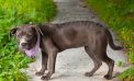 Let a Lettie bit of Love in Your Life!