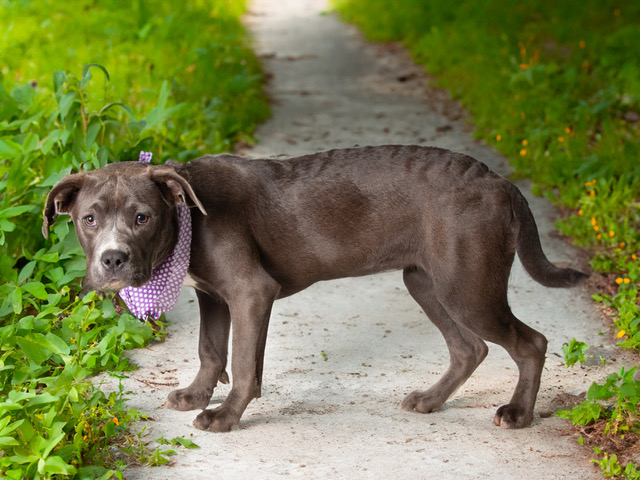 Let a Lettie bit of Love in Your Life!
