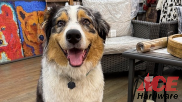 Arnold Ace Home Center, Much More Than a Hardware Store!!