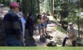 Arnold Rim Trail Guided Nature Walk: Get to Know Your Conifers June 14 @ 9:00 am – 11:00 am