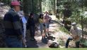 Arnold Rim Trail Guided Nature Walk: Get to Know Your Conifers June 14 @ 9:00 am – 11:00 am