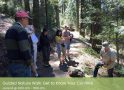Arnold Rim Trail Guided Nature Walk: Get to Know Your Conifers June 14 @ 9:00 am – 11:00 am