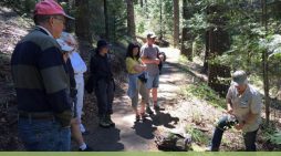Arnold Rim Trail Guided Nature Walk: Get to Know Your Conifers June 14 @ 9:00 am – 11:00 am