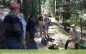 Arnold Rim Trail Guided Nature Walk: Get to Know Your Conifers June 14 @ 9:00 am – 11:00 am