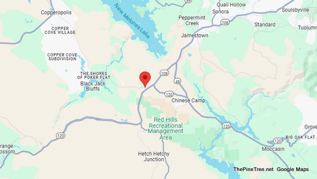 Traffic & Bovine Update….Cow Out Testing Grass is Greener Theory Near New Peoria Flat Rd / Obyrnes Ferry Rd Traffic & Bovine Update….Cow Out Testing Grass is Greener Theory Near New Peoria Flat Rd / Obyrnes Ferry Rd
