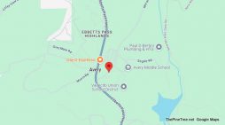 Traffic Update…Vehicle Collision, Man With a Handgun & Lots of Ammo on Moran Rd