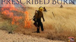 Fuel Reduction Burn Underway Near New Hogan