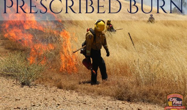 Pine Mountain Lake Prescribed Burning