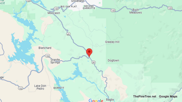 Traffic & Bovine Update…Black Cow on the Loose Near Sr132 / Sr49