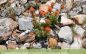 Guided Nature Walk: Arnold Rim Trail Natural History!!