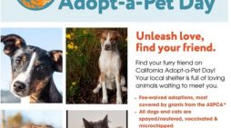 Adopt-a-Pet Day Fee-waived Adoptions!