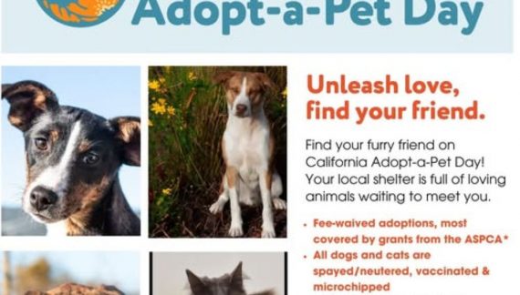 Adopt-a-Pet Day Fee-waived Adoptions!