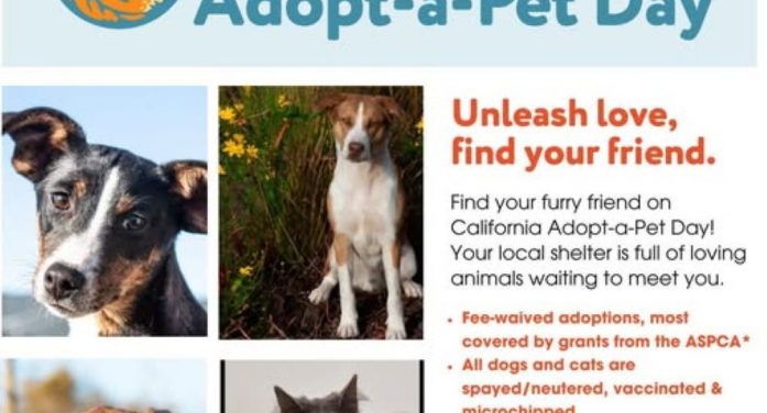 Adopt-a-Pet Day Fee-waived Adoptions!