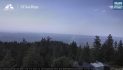 The 1/2 Acre Mitchell Fire is Burning Near Mitchell Mill Road and Skunk Hollow Road