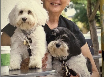 Sheila Rae Elliott 1945 – 2025