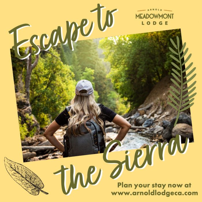 Escape to the Mountains!  Book Your Stay at Arnold Meadowmont Lodge!