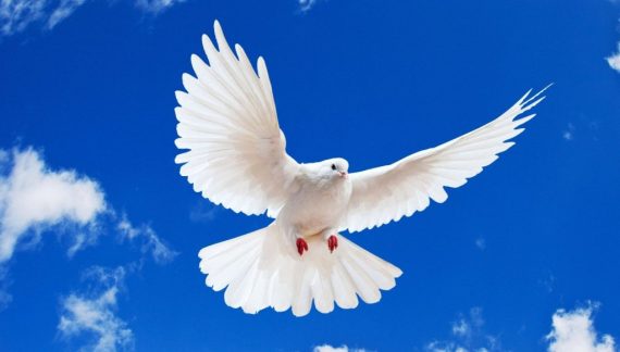 Kassidy Lynn Ketcherside 1997 ~ 2025