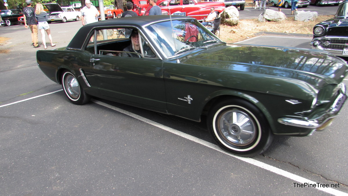 ArnClasCarShow25 (138)