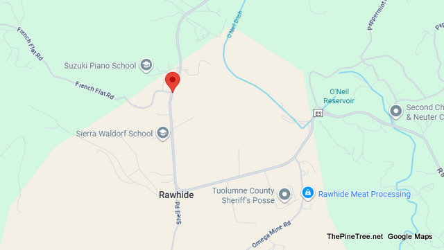 Traffic & Equine Update….Horse, Horsing Around Near Rawhide Rd / French Flat Rd