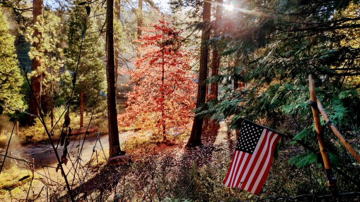 A Bit of Fall Wisdom from Henry David Thoreau