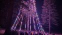 The 2025 Avery Tree Lighting is Tonight!!  Don’t Miss It!!