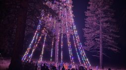The 2025 Avery Tree Lighting is Tonight!!  Don’t Miss It!!
