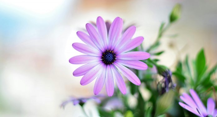 Betty I. Mielak 1930 ~ 2025