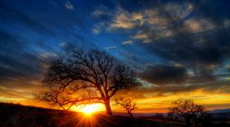 Durand Bruce Wright 1957 ~  2025