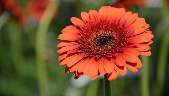 Audrey Andreatta 1930 ~ 2025