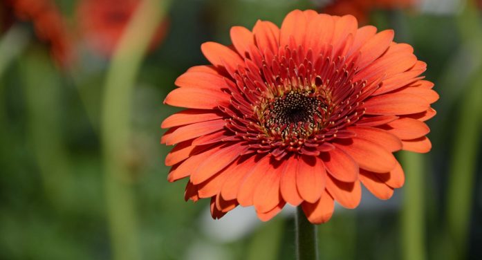 Audrey Andreatta 1930 ~ 2025