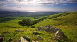 Ronald Eugene Carder 1945 ~ 2025