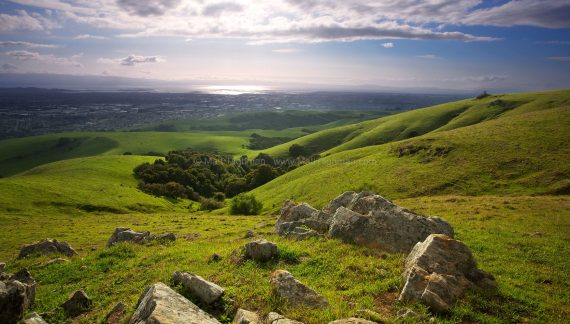 Ronald Eugene Carder 1945 ~ 2025