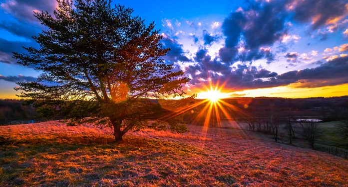 Sandra “Sandy” L. Pence 1942 ~ 2025