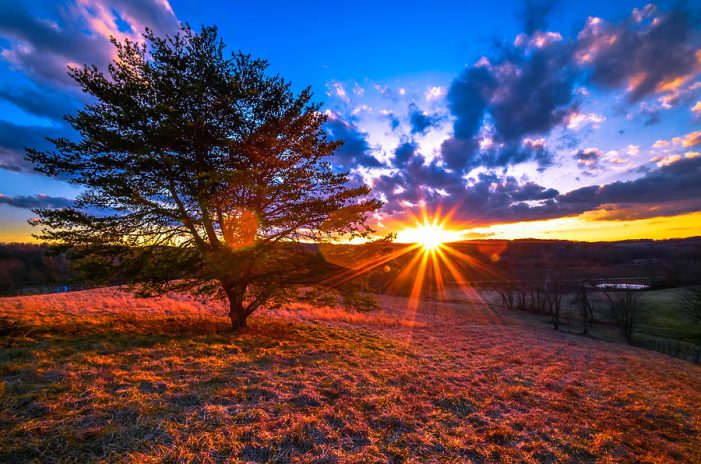 Sandra “Sandy” L. Pence 1942 ~ 2025