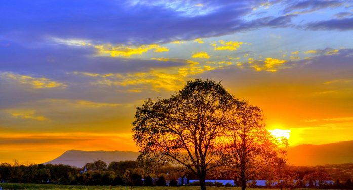 Kenneth N. McInturf 1931 ~ 2025