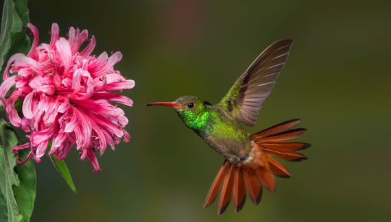 Dorothy Kitchell 1932 ~ 2025