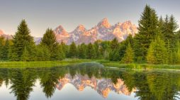 Shirley Nowlin 1935 ~ 2025