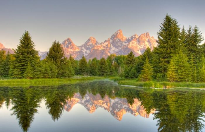 Shirley Nowlin 1935 ~ 2025