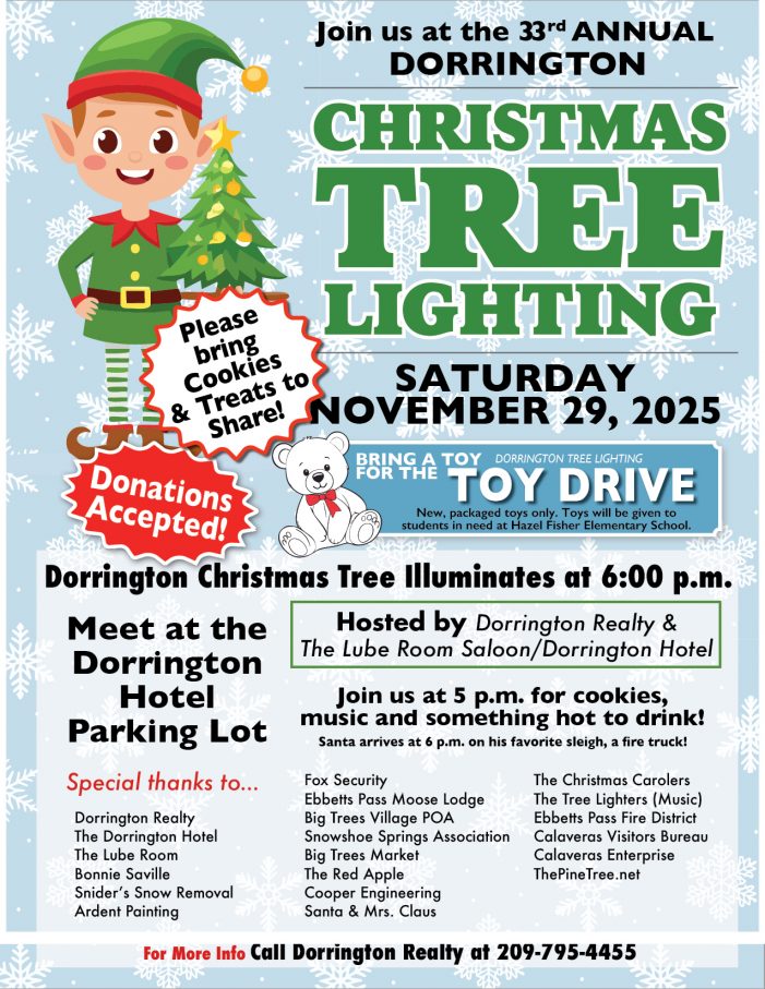 Get  Ready for the 2025 Dorrington Tree Lighting!!