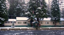 Free Community Thanksgiving Dinner