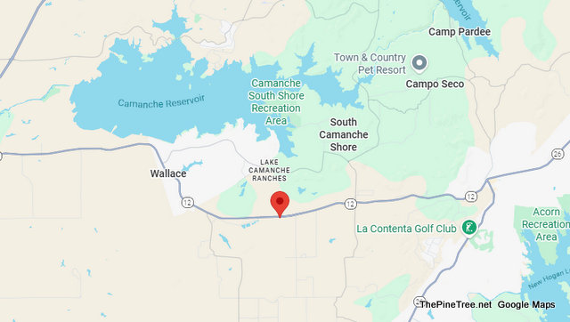 Traffic & Bovine Update…Cows Testing Grass is Greener Theory Near Hwy 12 & Meagan Lane