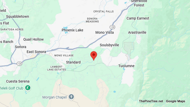 Traffic Update…Tree & Power Lines in the Roadway Near Barron Ranch Rd / Curtis Cir