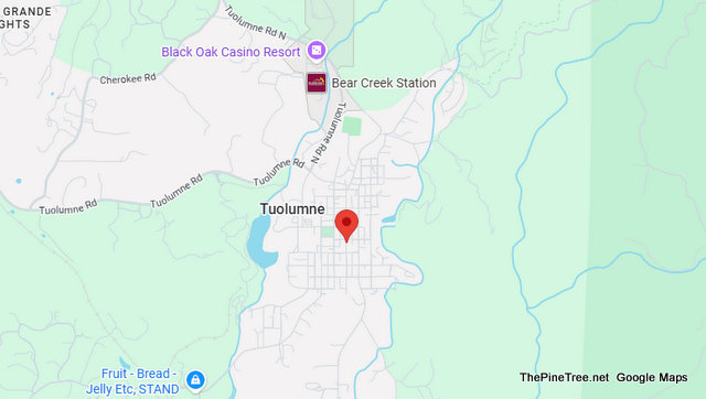 Traffic Update….Vehicle vs Fence & Tree on Carter Street.