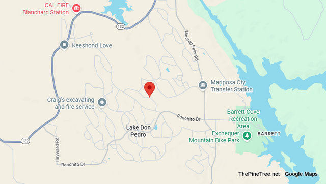 Traffic & Bovine Update….Cow Testing Grass is Greener Theory Near Laredo St / Rastro Way